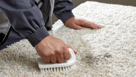 Professional Rug Cleaning Gowanbrae